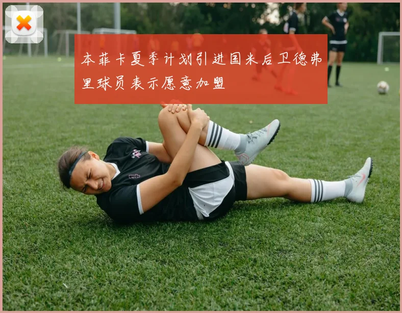 本菲卡夏季计划引进国米后卫德弗里球员表示愿意加盟