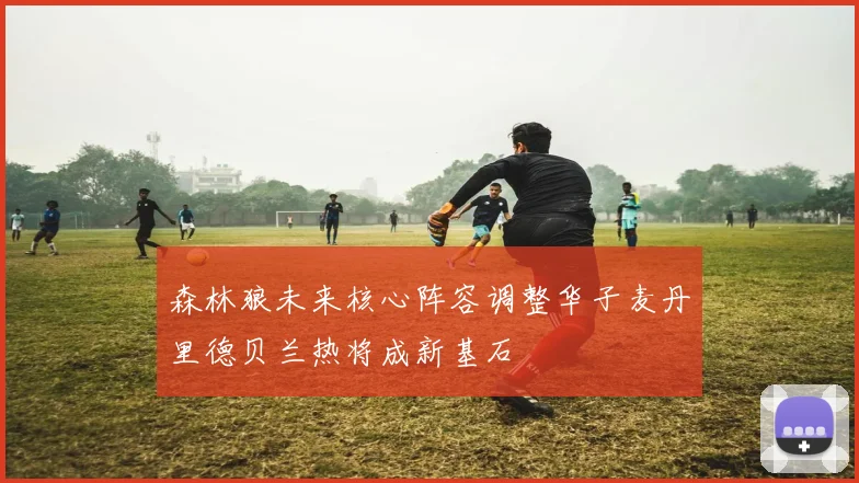 森林狼未来核心阵容调整华子麦丹里德贝兰热将成新基石